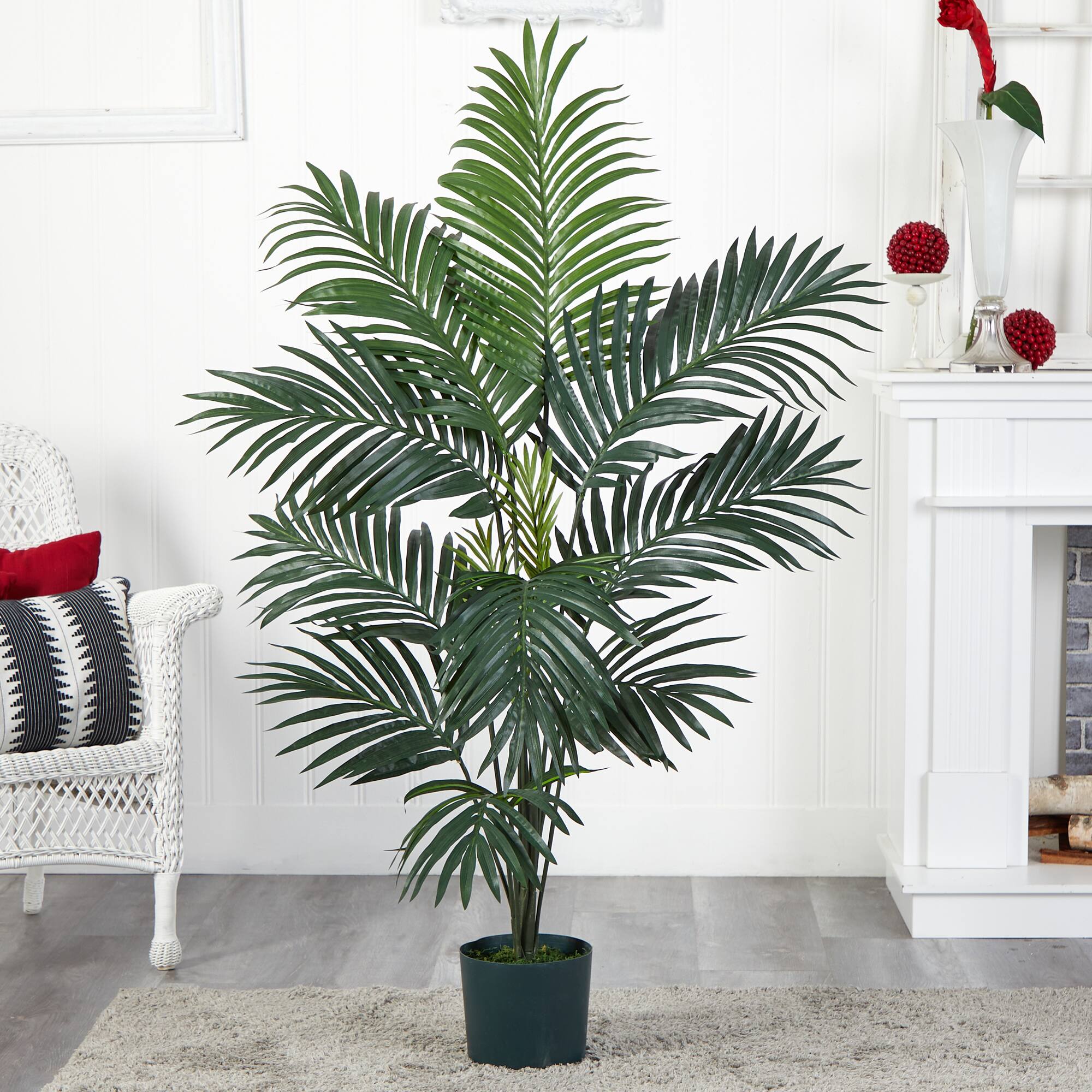 5ft. Potted Kentia Palm Tree